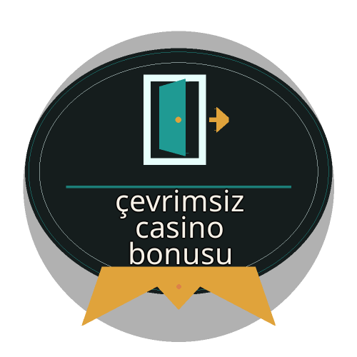 Bonus Koşulları Rehberi logosu